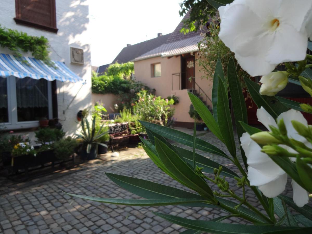 Pension Deerkemer Kuh Dorn-Durkheim エクステリア 写真